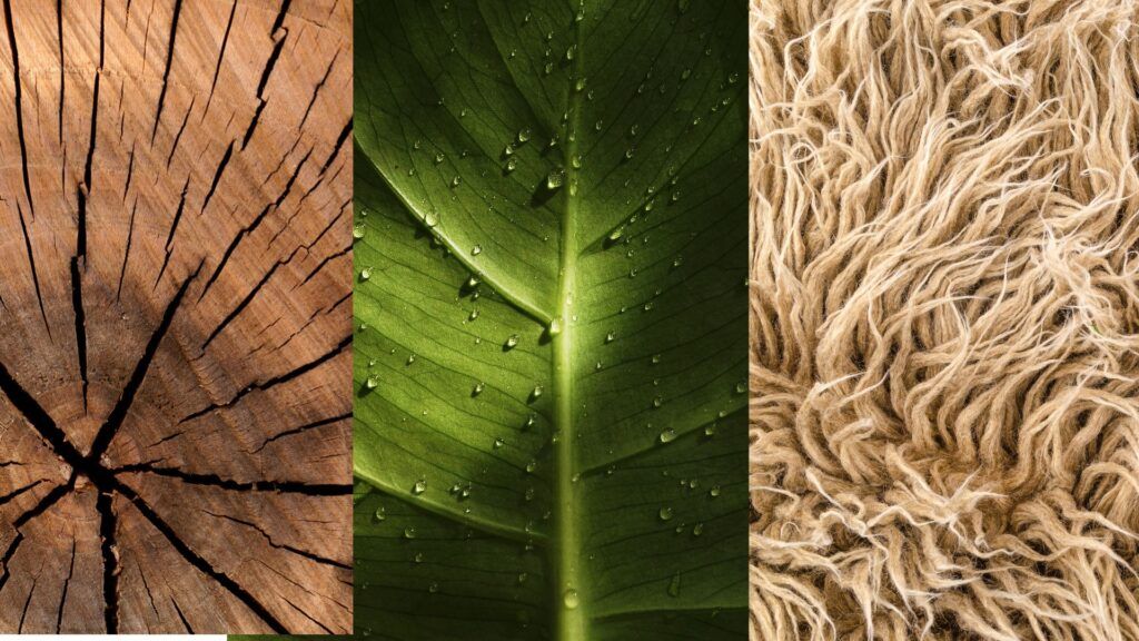 different effects and textures you can create (wood, leaf, and fur)